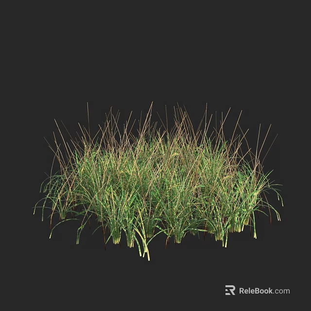 Lush Green Grasses With Slender Leaves Growing In Natural Clump On Dark Background 3d model 