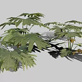 Lush Green Plant Featuring Split Broad Leaves And Vibrant Foliage Design 3d model