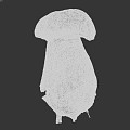 Mushroom Scan Mushroom Vegetables 3d model