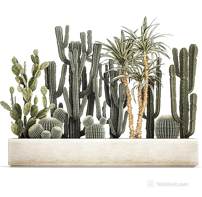 Stylish Bonsai Plants With Various Cactus And Succulent In White Rectangular Planter 3d model