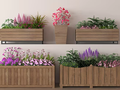 Beautiful Potted Plants With Pink Purple Flowers In Wooden Planters For Decoration 3d model
