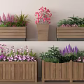 Beautiful Potted Plants With Pink Purple Flowers In Wooden Planters For Decoration