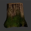 Natural Tree Stump Stool With Rough Wood Grain And Green Textured Base