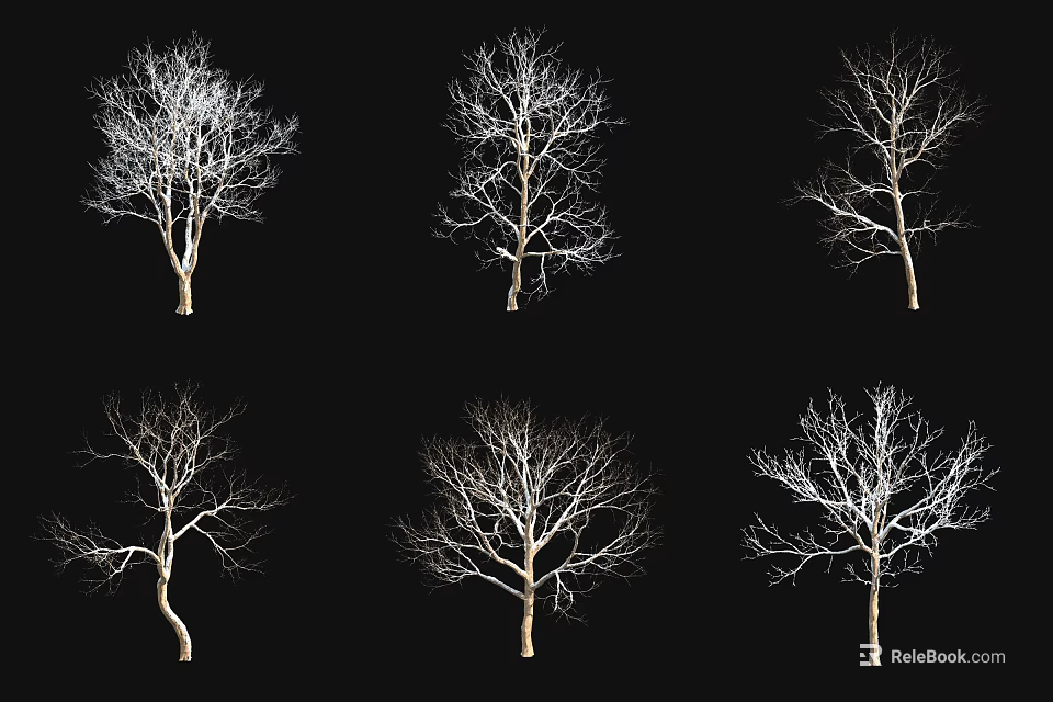 Collection Of Bare Trees With Diverse Branch Structures On Black Background 3d model 