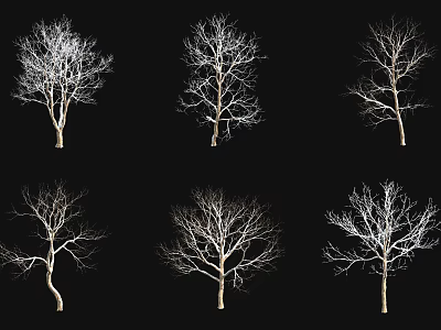 Collection Of Bare Trees With Diverse Branch Structures On Black Background 3d model