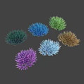 Colorful Sea Urchins In Multiple Vibrant Colors On Dark Background