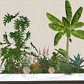 Indoor plant landscaping green plant flower box plantain spring feather plant pile flower border 3d model