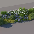 Colorful Flower Bed With White Purple Blooms Green Shrubs And Grasses