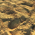 Beautiful Natural Sand Landscape With Detailed Texture And Footprints Under Sunlight