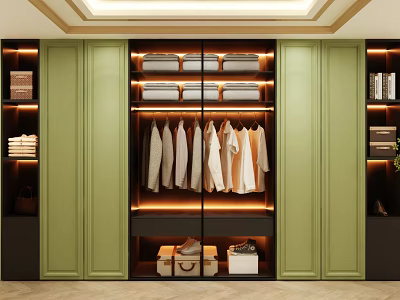 Modern Green Wardrobe Interior With Hanging Clothes Shelves Folded Storage And Lighting 3d model