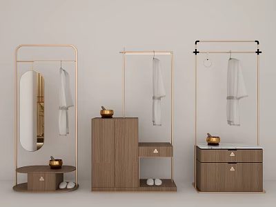 Modern Decorative Cabinet With Metal Frame Wooden Structure Mirror And Hanging Space 3d model