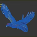 Vibrant Colored Bird Flying With Spread Wings Against Dark Background