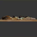 Delicious Homemade Pizza Topped With Fresh Vegetables Olives And Melted Cheese On Wooden Serving Board