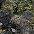 Natural Garden Landscape With Large Rocks Stone Steps And Lush Green Trees