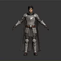 Woman In Medieval Plate Armor With Long Cape Standing In 3D Rendered Character Pose