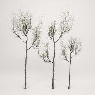 Modern Tree Landscape Tree 3d model