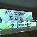 Green Development Exhibition Area with Valley Mountain Decor Blue Columns and Green Plants