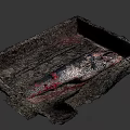 Ancient Square Pit Excavation Reveals Large Red White Fish Remains in Mud 3d model