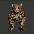 Realistic 3D Leopard Model With Orange Fur Black Spots And Green Eyes On Dark Background