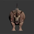 Rhinoceros 3D Model With Large Horn Furry Body Dark Background And Reflection Effect