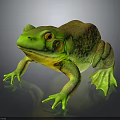 Green Frog with Orange Eyes Spotted Body and Yellow Underside on Black Reflective Surface