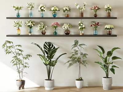 Indoor Decorative Potted Plants In White Pots With Various Green Foliage 3d model