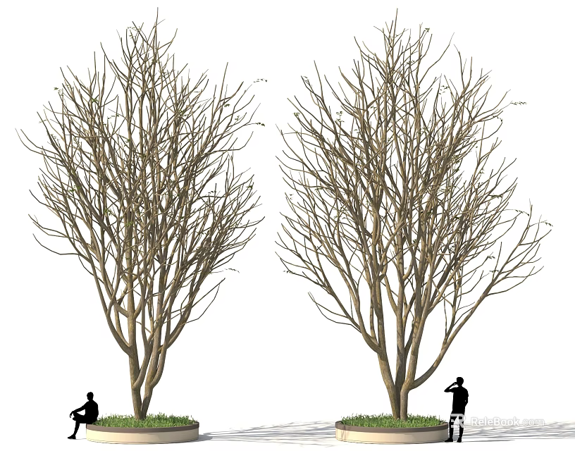 Two Leafless Trees In Outdoor Area With People Sitting And Standing 3d model 