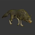 Realistic 3D Wolf Model With Growling Pose And Detailed Gray Fur