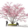 Ornamental Bonsai Plant with Pink Flowers Lush Branches and Yellow Blooms Around Circular Base