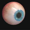Human Eyeball Featuring Blue Pupil Iris and White Sclera on Black Background