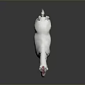 White Horse Standing Elegantly with Reflection on Gray Background in Realistic Render