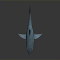 Sleek Blue Shark Swimming Gracefully in Ocean Waters with Sharp Fins and Smooth Skin