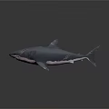 Dark Blue Shark With Pink Stripes 3D Model On Gray Background