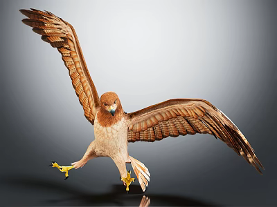 Brown Eagle Spreading Wings Soaring In Flight With Detailed Feathers And Powerful Stance 3d model