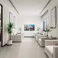 Bright Minimalist Office Reception Waiting Lounge With Comfortable Sofas Fresh Green Plants And Neat Wall Decor