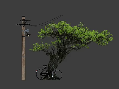 Roadside Facilities Featuring Telephone Pole Power Lines Tree And Bicycle 3d model