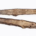 Natural Wood And Stone Slabs With Textured Surface And Bark Details
