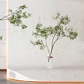 Bonsai Trees in White Ceramic Pot and Clear Vase Against White Paneled Wall