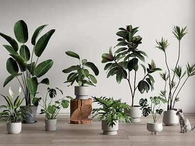 Indoor Decorative Potted Plants With Various Green Leaves And Stylish Ceramic Pots 3d model