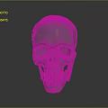 Detailed White Human Skull With Smooth Surface Isolated On Gray Background 3d model