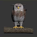 Flying Animal Owl Perched on Wooden Log with Brown White Feathers and Yellow Talons