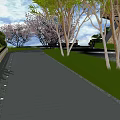 Scenic Plaza Area With Cherry Blossom Trees Green Grass Paved Path And Umbrellas