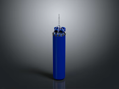Blue Vertical Hanging Punching Bag For Fitness Training Equipment 3d model