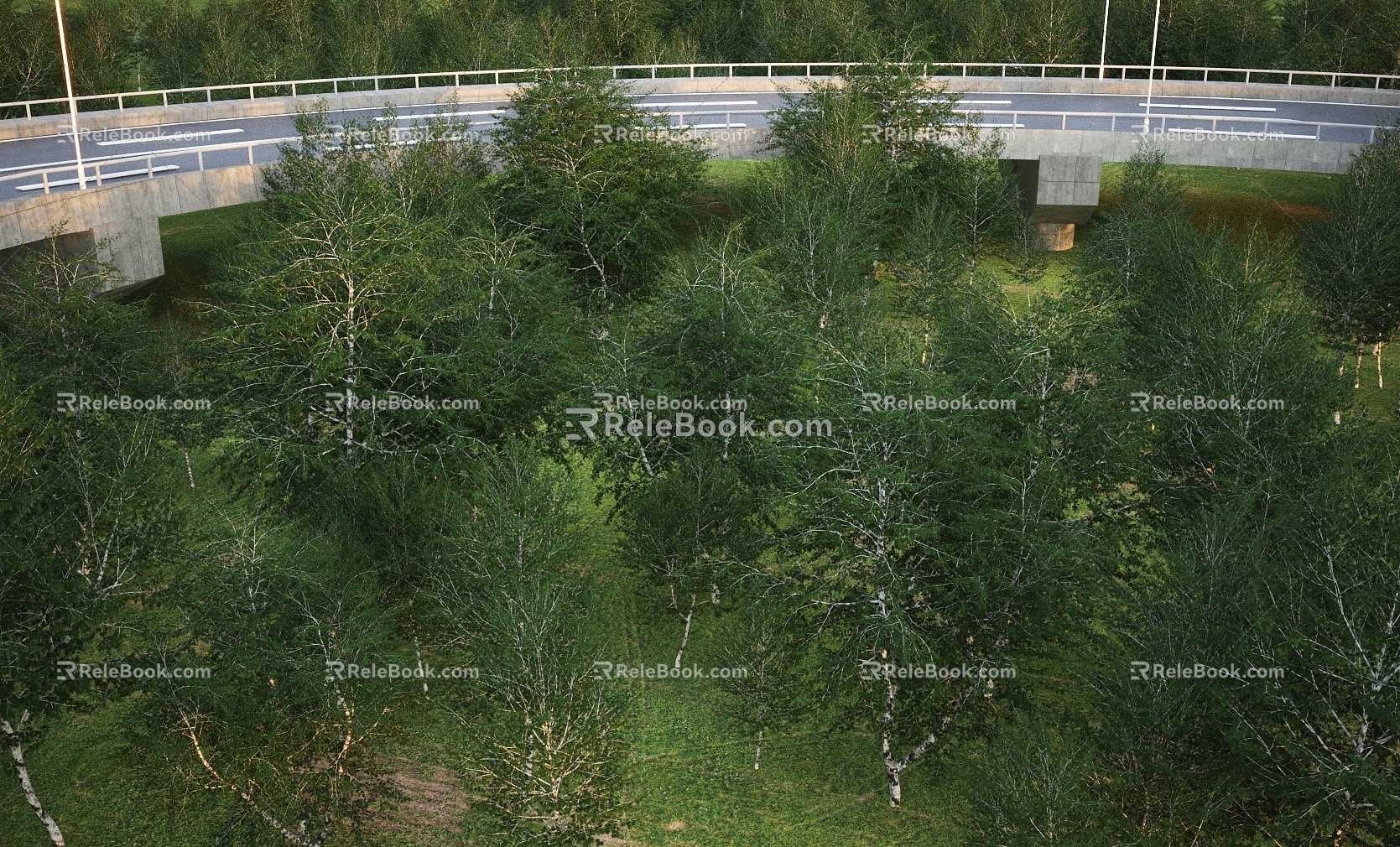 Modern Tree Ginkgo Group Tree Bird's Eye View Tree 3d model