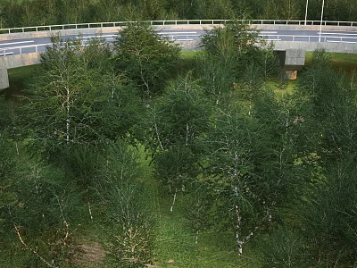 Lush Green Trees Growing Alongside Road With Bridge And Grass Field Area 3d model