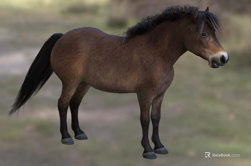 Brown Reptile Lizard With Scaly Skin Resting On Rock In Natural Habitat 3d model 