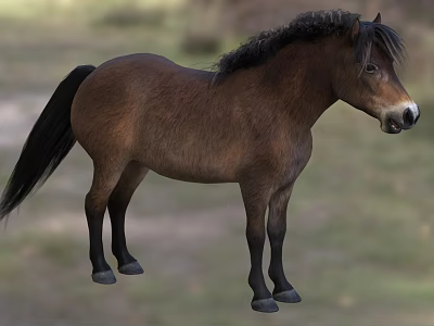 Brown Reptile Lizard With Scaly Skin Resting On Rock In Natural Habitat 3d model Brown Reptile Lizard With Scaly Skin Resting On Rock In Natural Habitat 3d model