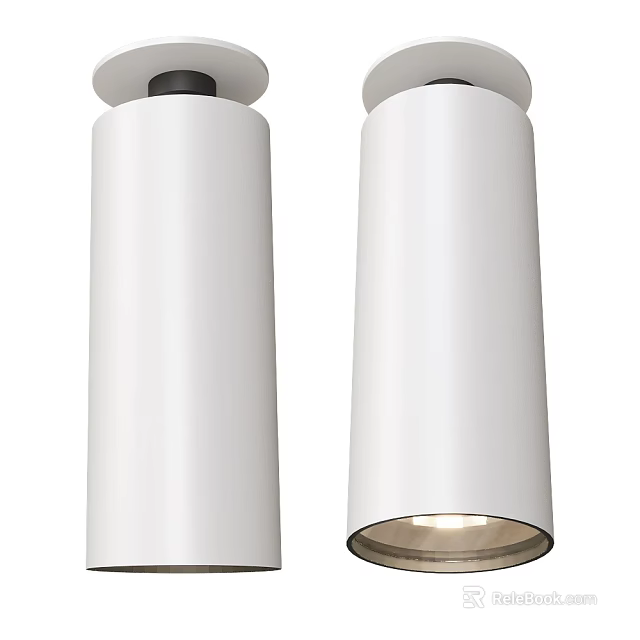 Pair Of Modern White Cylindrical Downlights And Spotlights For Home Lighting 3d model 
