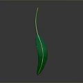 Fresh Green Leaf With Visible Veins And Long Green Stem