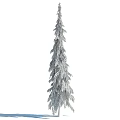 Tall Evergreen Arbor With Lush Green Foliage And Upright Trunk